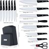 LapEasy 15-Piece Knife Set with Block & Sharpener